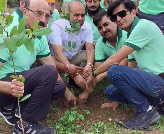 वन महोत्सव 2024 के अवसर पर किया वृक्षारोपण वन महोत्सव 2024 के अवसर पर किया वृक्षारोपण