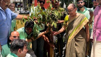 क्लीन एंड ग्रीन एनवायरनमेंट समिति ने चलाया वृहद स्तर पर वृक्षारोपण अभियान
