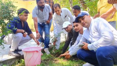 हिमालय दिवस पर कैबिनेट मंत्री ने किया पौधारोपण