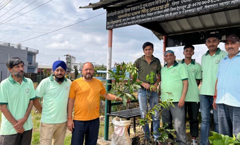 ट्री गार्ड्स सहित लगाए गए वृक्ष ट्री गार्ड्स सहित लगाए गए वृक्ष